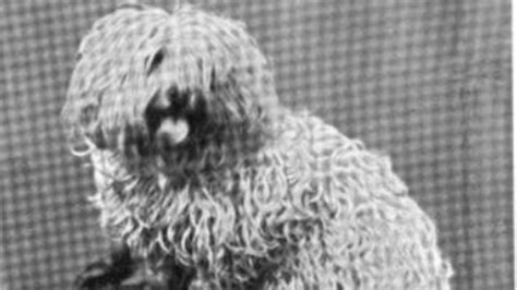 Manilla Spaniel on EsquireMag.ph .